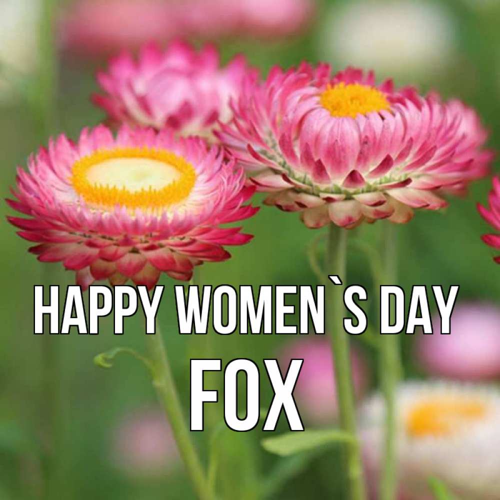 Greetings card с именем, Fox happy women`s day подарок на международный женский день Greetings with text for free download 